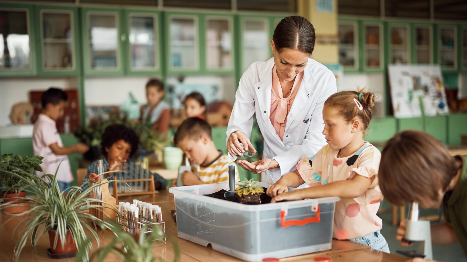 Frankfurt’ta Beş Okula Sürdürülebilirlik Ödülü Verildi, © shutterstock Frankfurt’ta Beş Okula Sürdürülebilirlik Ödülü Verildi, © shutterstock