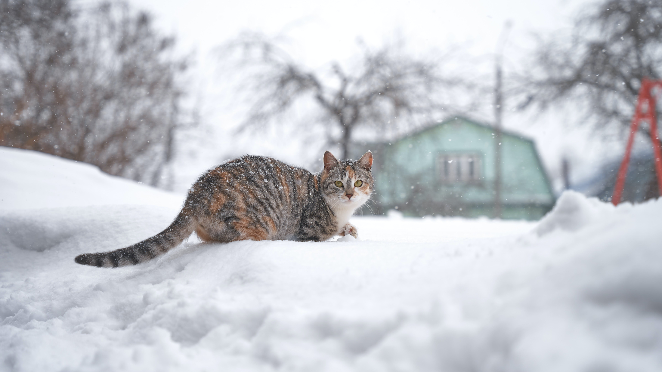 © Aleksandr Nadyojin