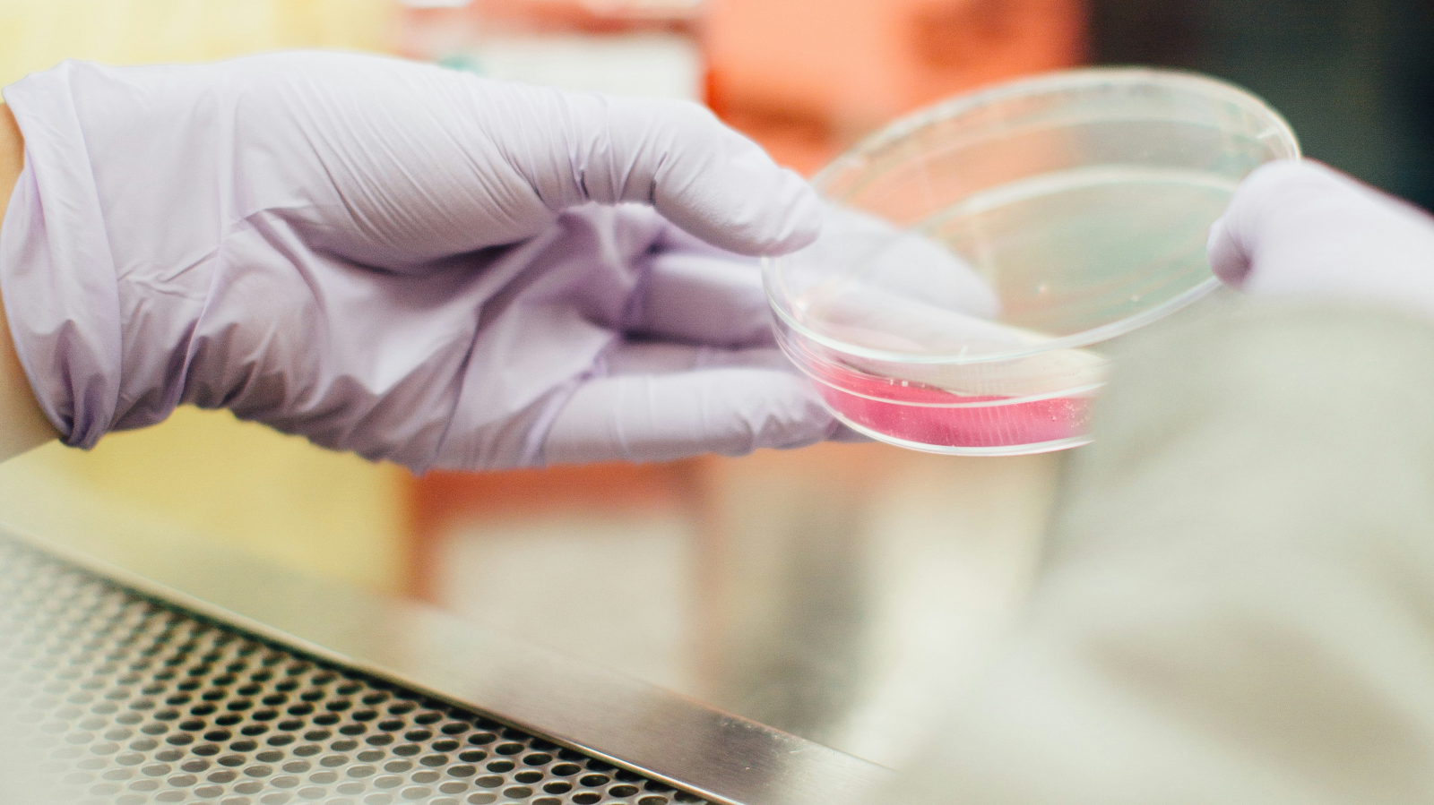 Sturm "Helene" löst medizinische Engpässe aus, © Unsplash/drew hays