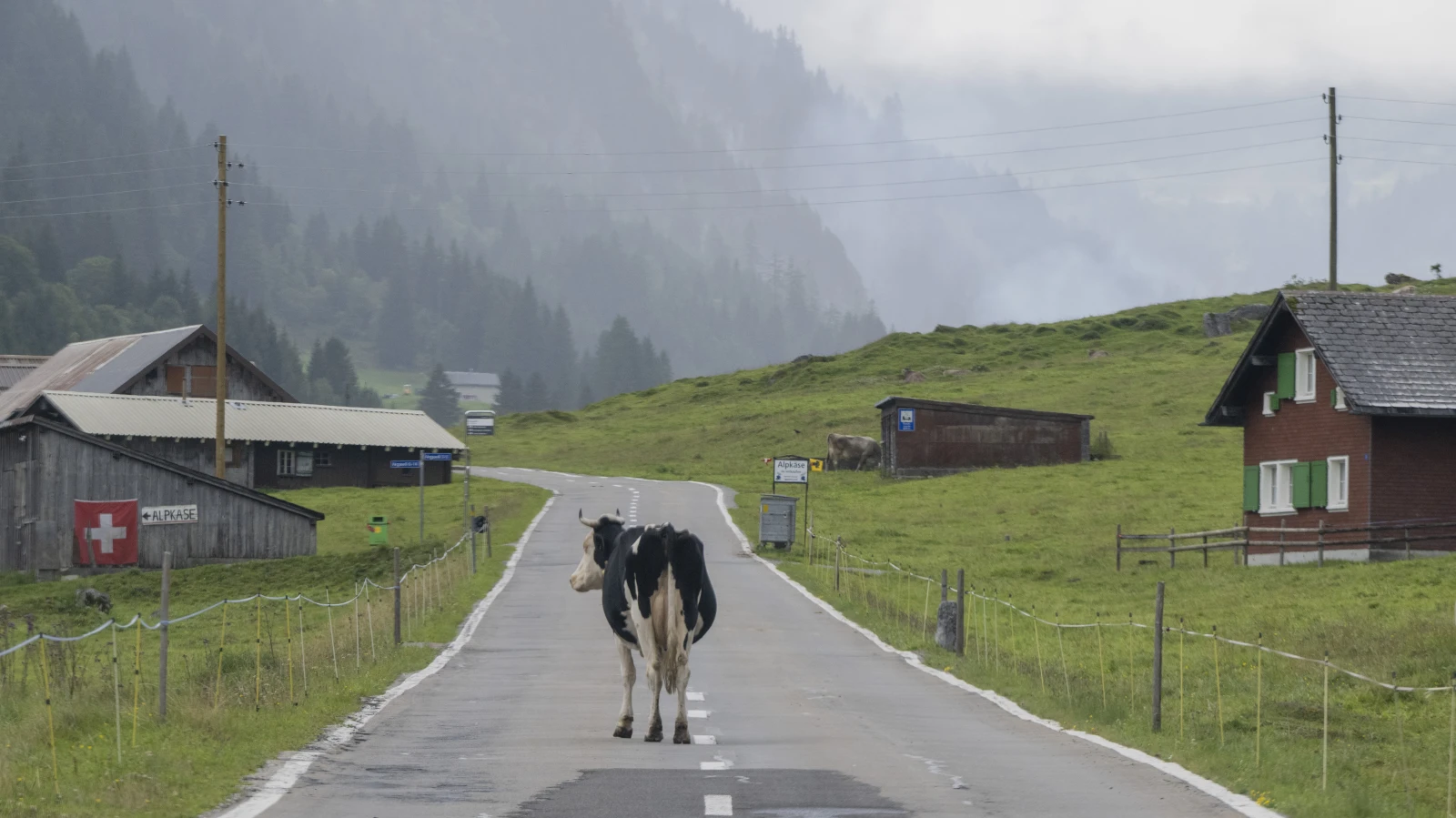 İsviçreliler Yurtdışında 10 Milyar Euro Harcıyor, © Urs Flueeler/KEYSTONE/dpa İsviçreliler Yurtdışında 10 Milyar Euro Harcıyor, © Urs Flueeler/KEYSTONE/dpa