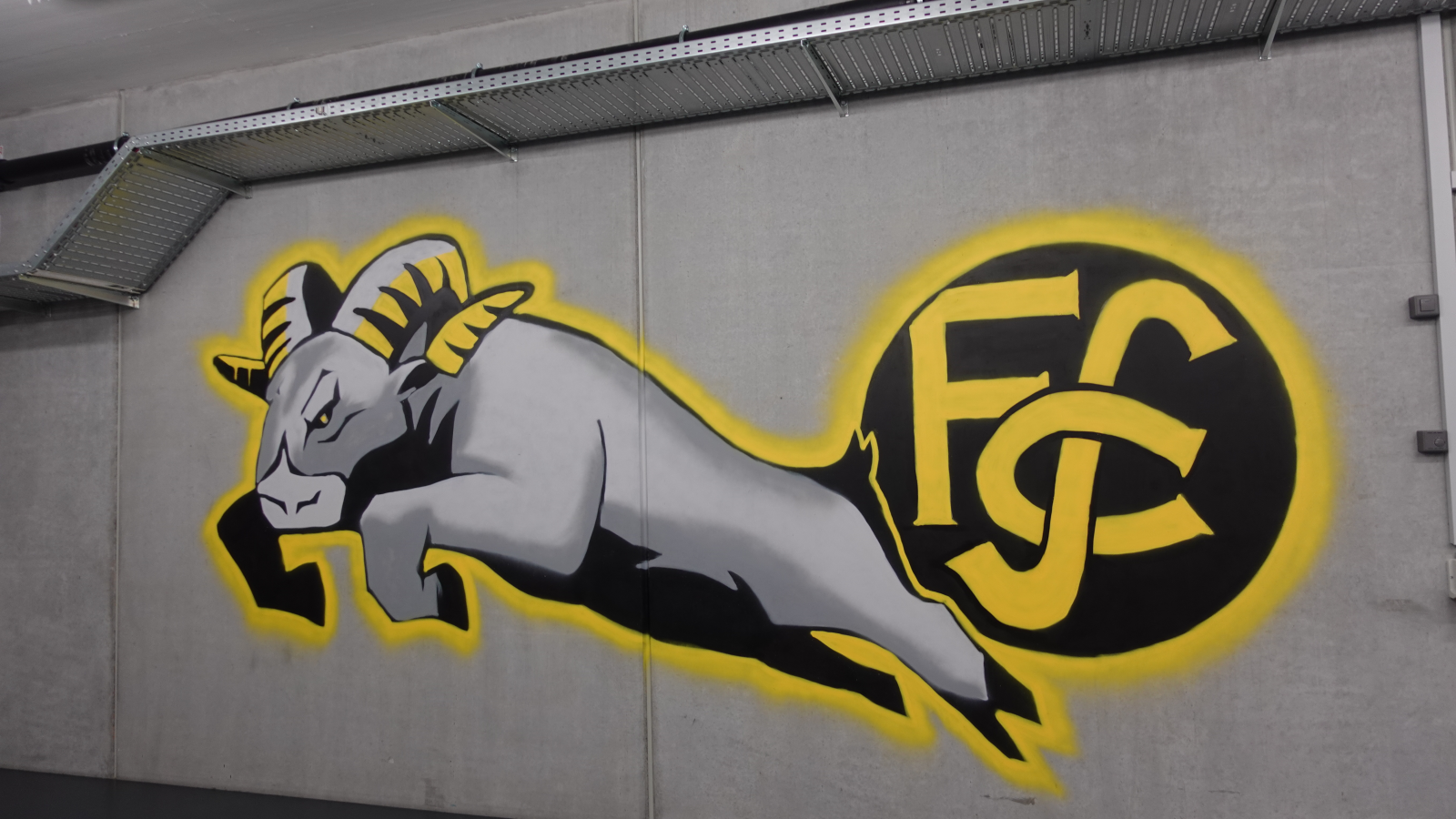 Der FCS hat neue Eigentümer, © Symbolbild