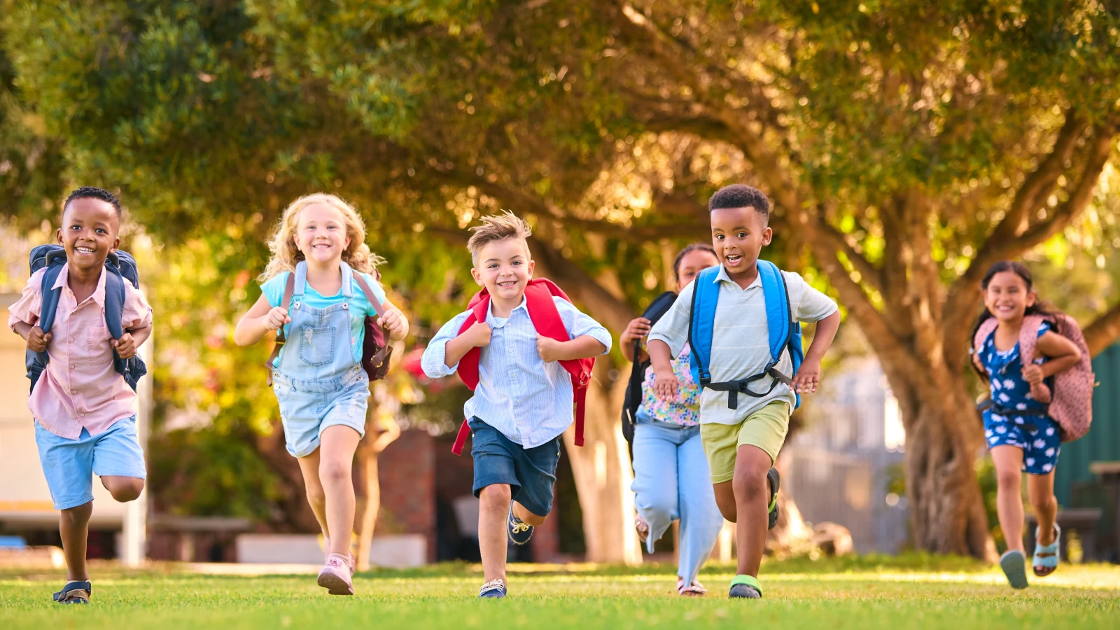 Trafik Denetimleri Etkili Oluyor!, © shutterstock Trafik Denetimleri Etkili Oluyor!, © shutterstock