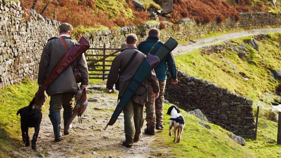 Hubertusfeier der Liechtensteiner Jägerschaft, © Symbolbild Pixabay