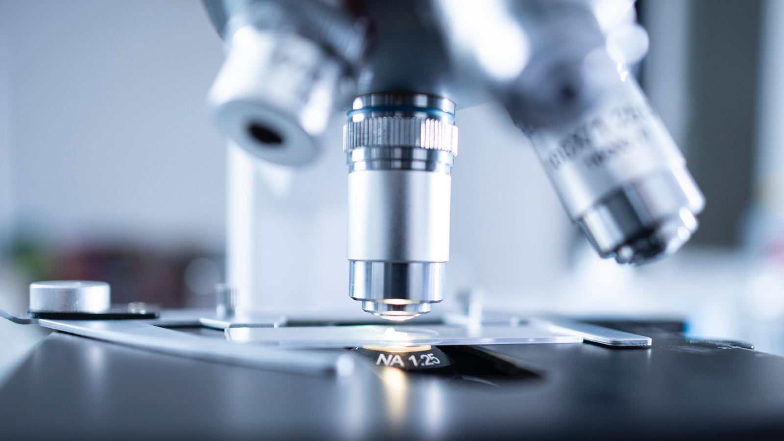 RLP  Biyoteknoloji Merkezi Projesi, © Chokniti Khongchum