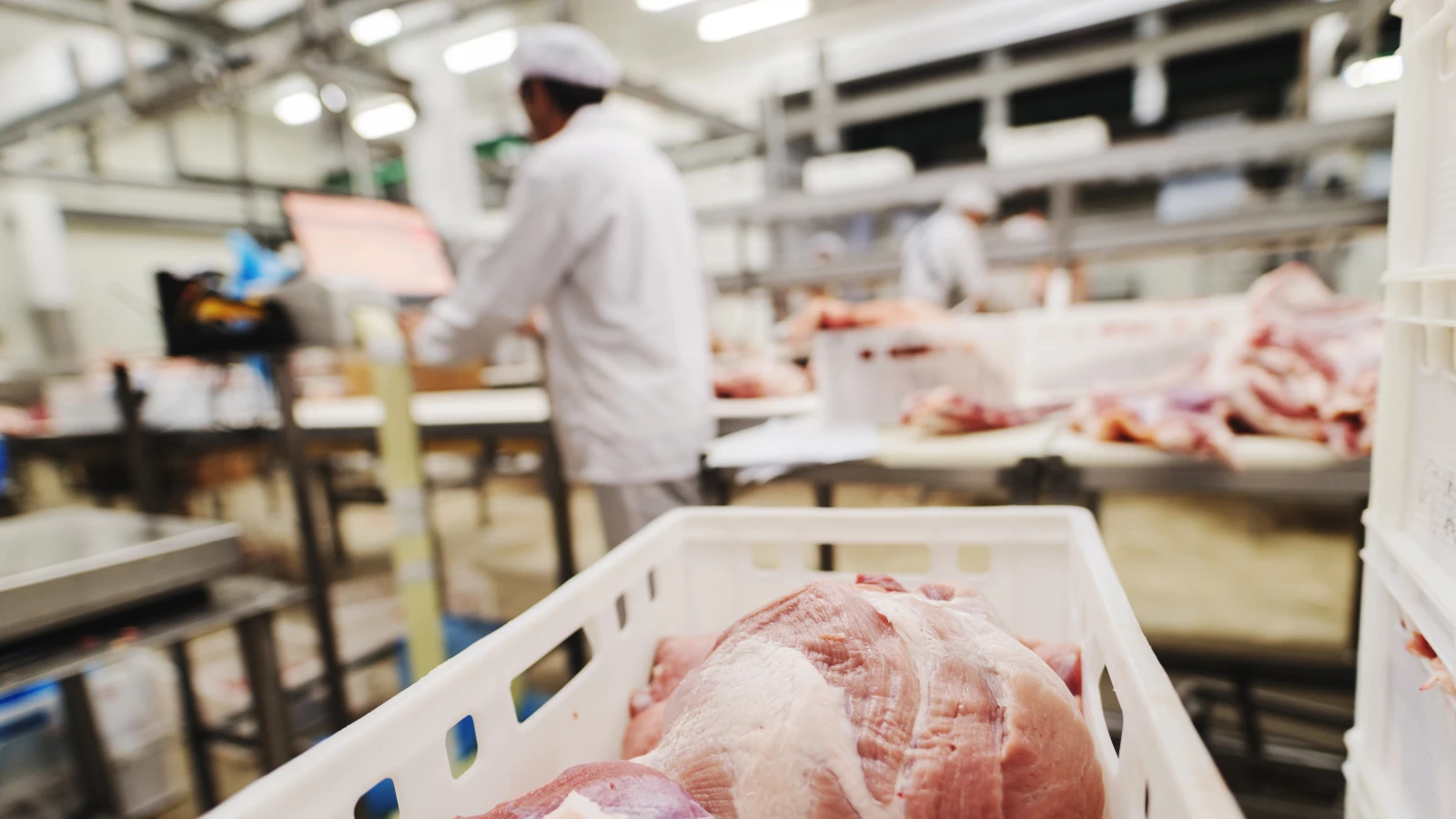 Regionaler Schlachthof kommt wohl 2027, © Depositfotos / Symbolbild / Dusan Petkovic Regionaler Schlachthof kommt wohl 2027, © Depositfotos / Symbolbild / Dusan Petkovic