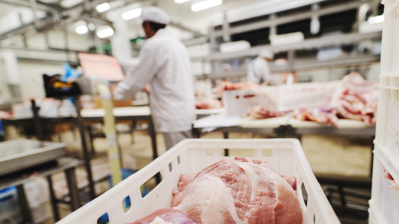 Regionaler Schlachthof kommt wohl 2027, © Depositfotos / Symbolbild / Dusan Petkovic