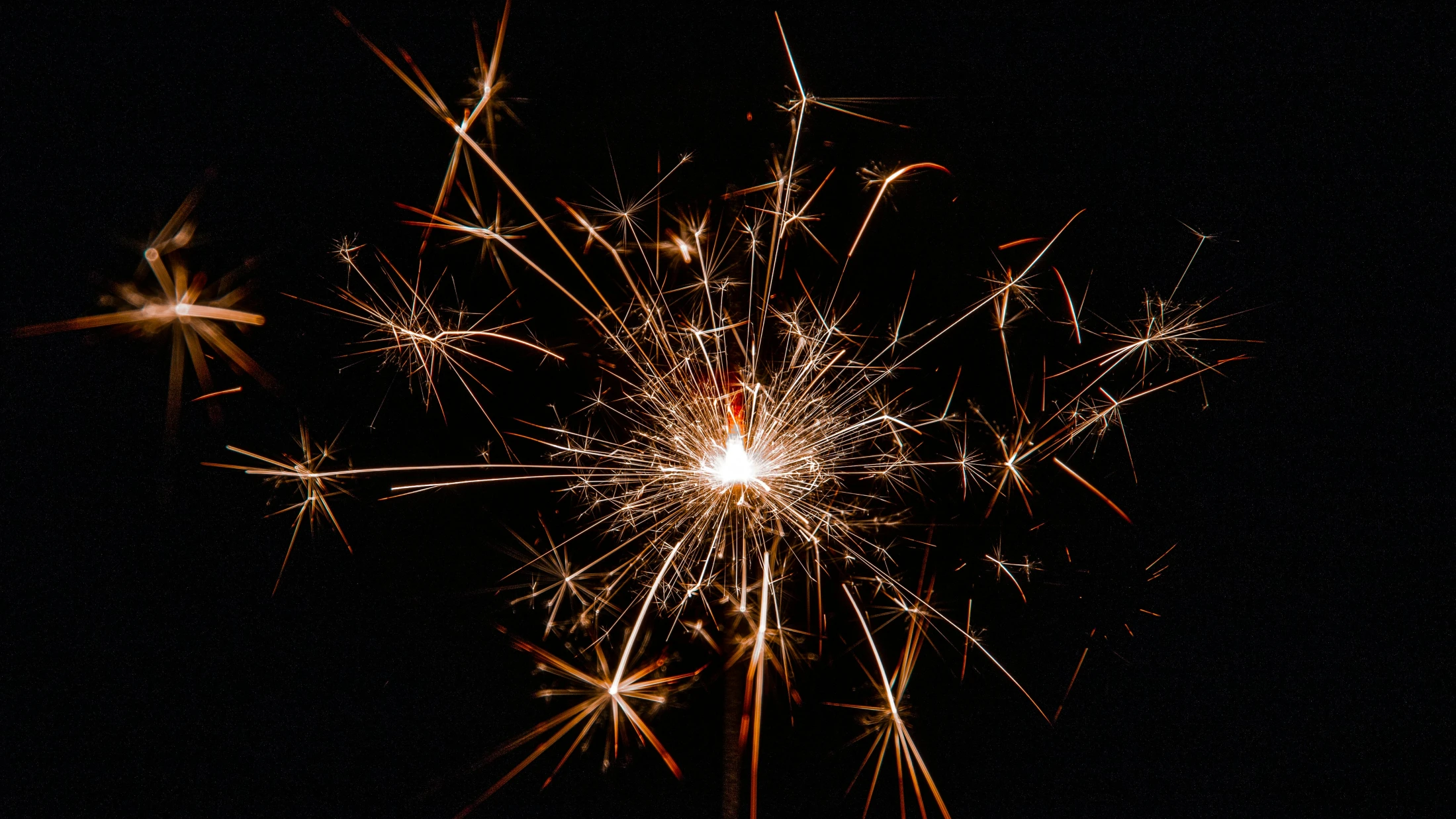 © Magda Ehlers © Magda Ehlers