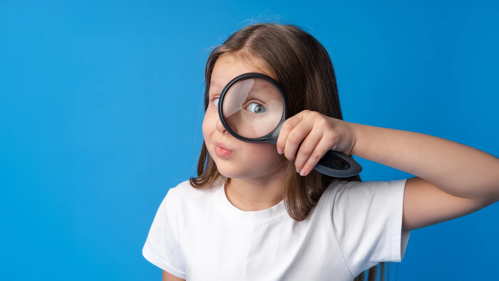 Die Radio TEDDY-Songsuche Die Radio TEDDY-Songsuche