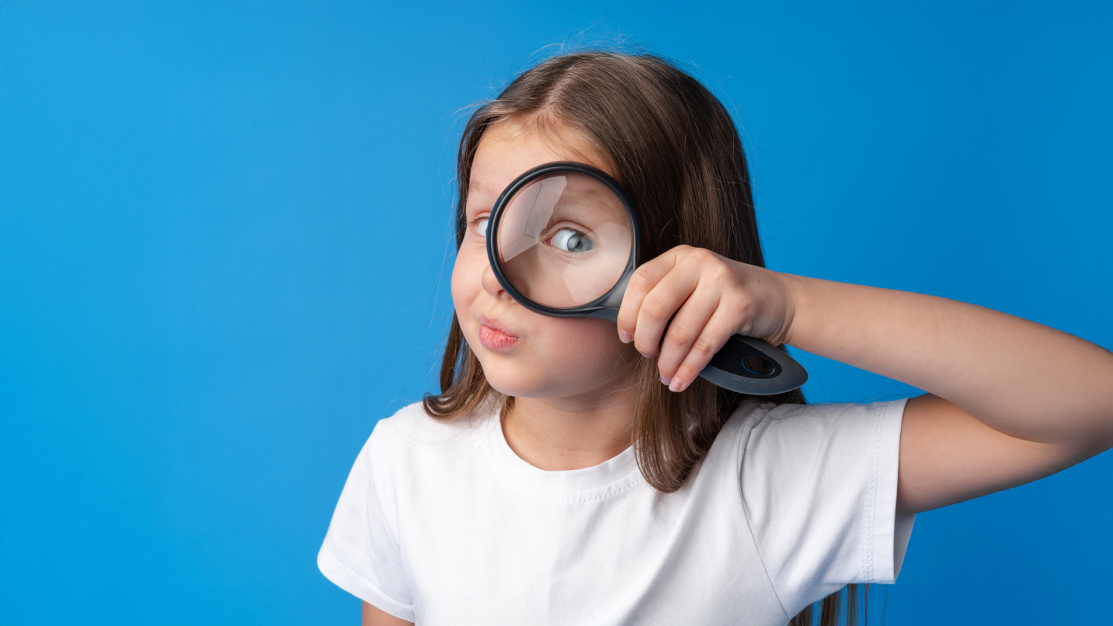 Die Radio TEDDY-Songsuche