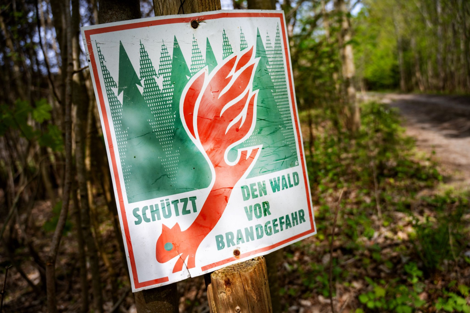 Ein Schild mit der Aufschrift «Schütz den Wald vor Brandgefahr» hängt in einem Wald an einem Waldweg.