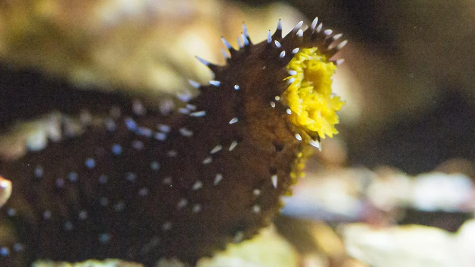 © Zoo Basel © Zoo Basel