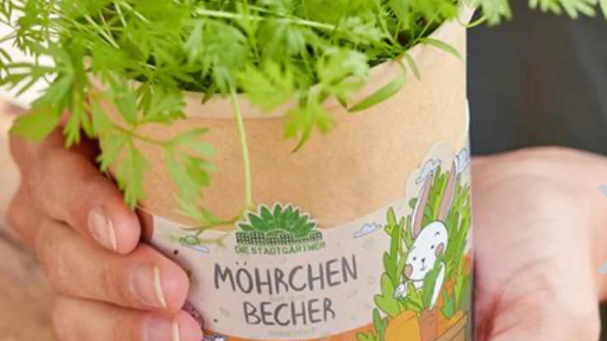 © bloomling.ch © bloomling.ch