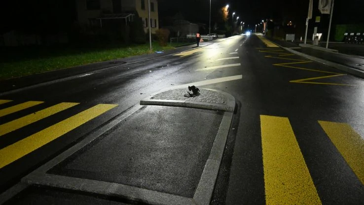 Verkehrsunfall mit Sachschaden in Ruggell Verkehrsunfall mit Sachschaden in Ruggell