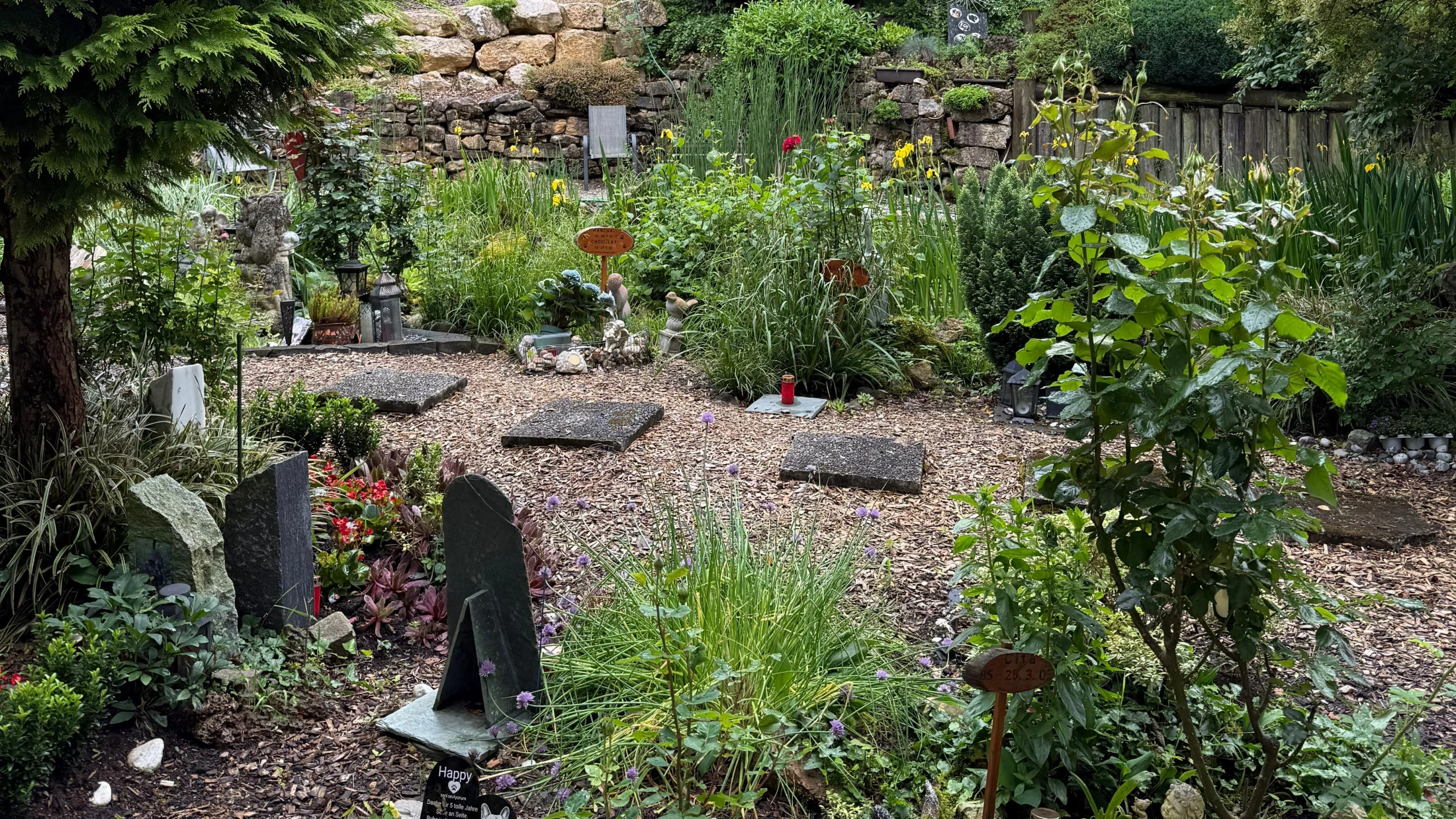 © basilisk © basilisk