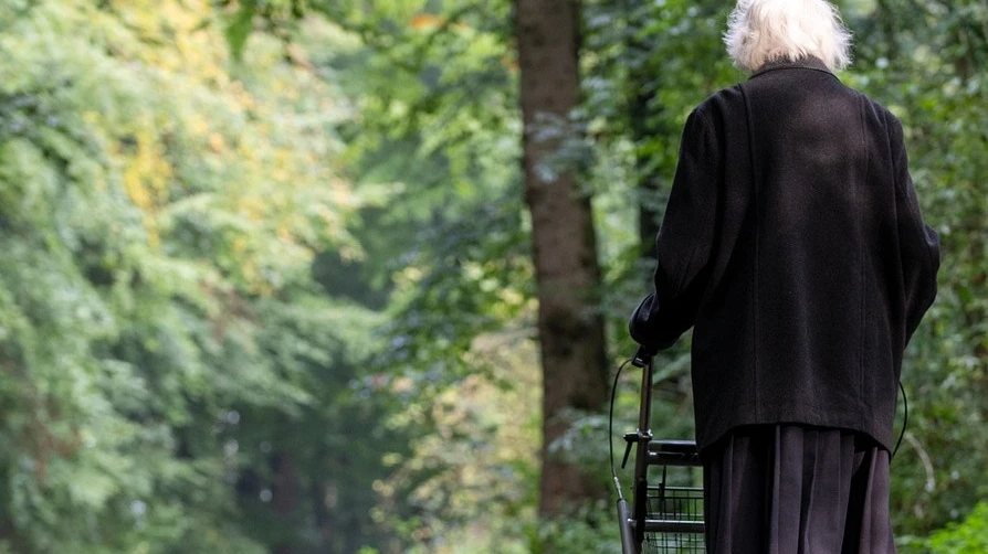 © Bildquelle: pixabay.com © Bildquelle: pixabay.com