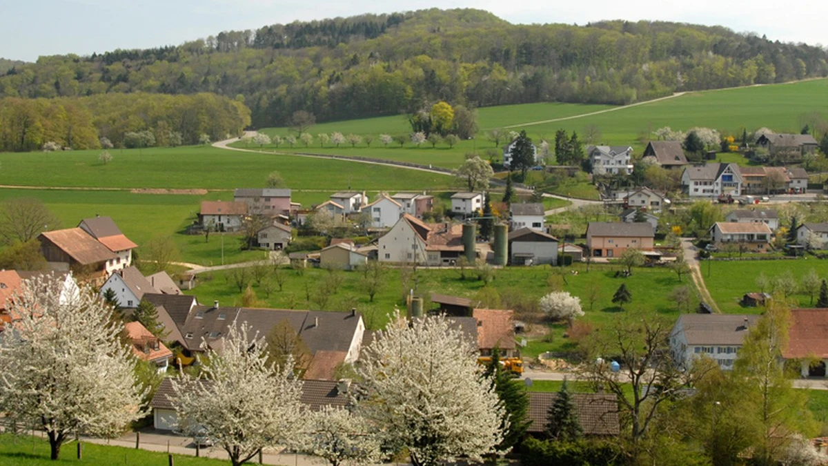 © baselland.ch © baselland.ch