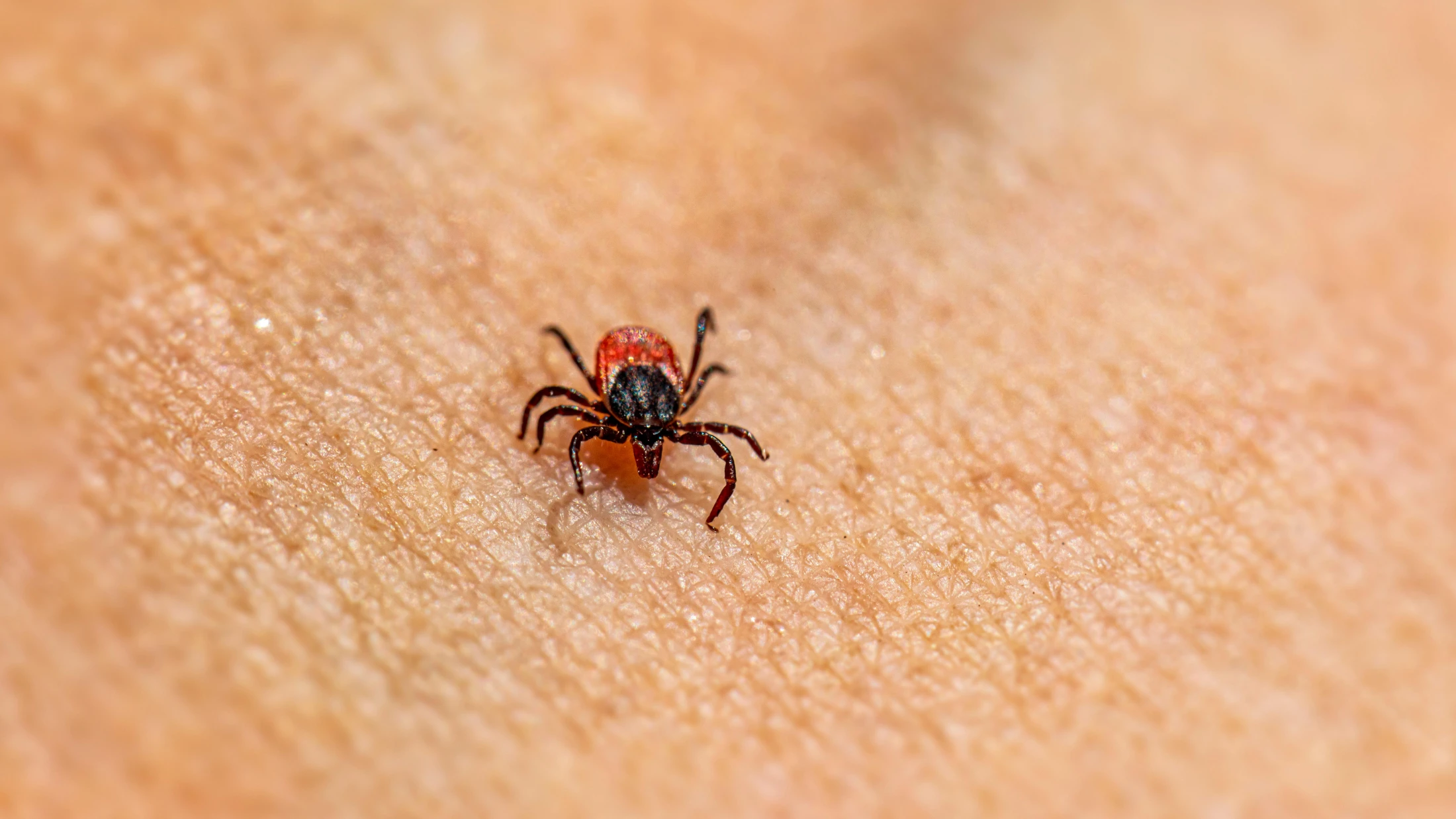 © Erik Karits © Erik Karits