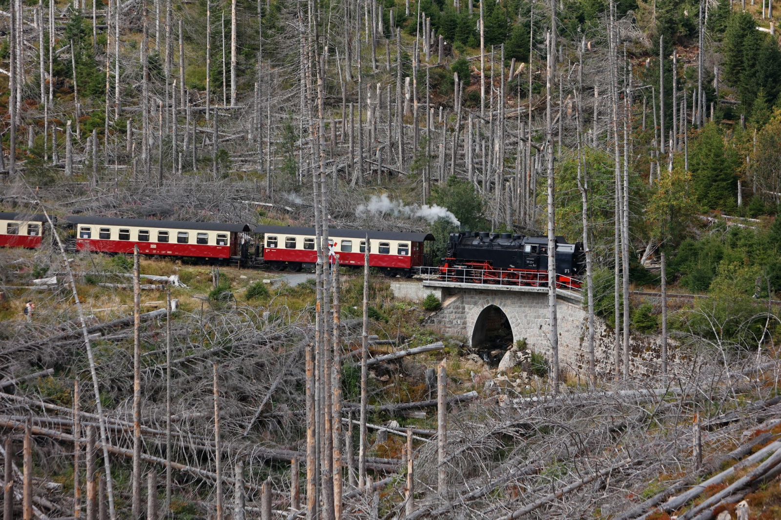 Ein Zug der Harzer Schmalspurbahnen GmbH fährt hinauf zum Brocken.
