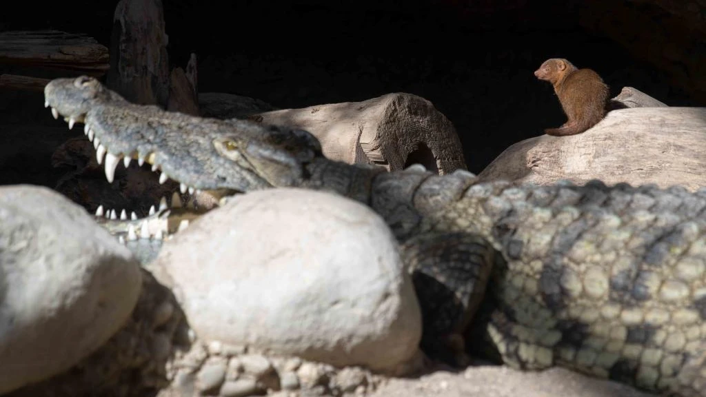 © Zoo Basel © Zoo Basel