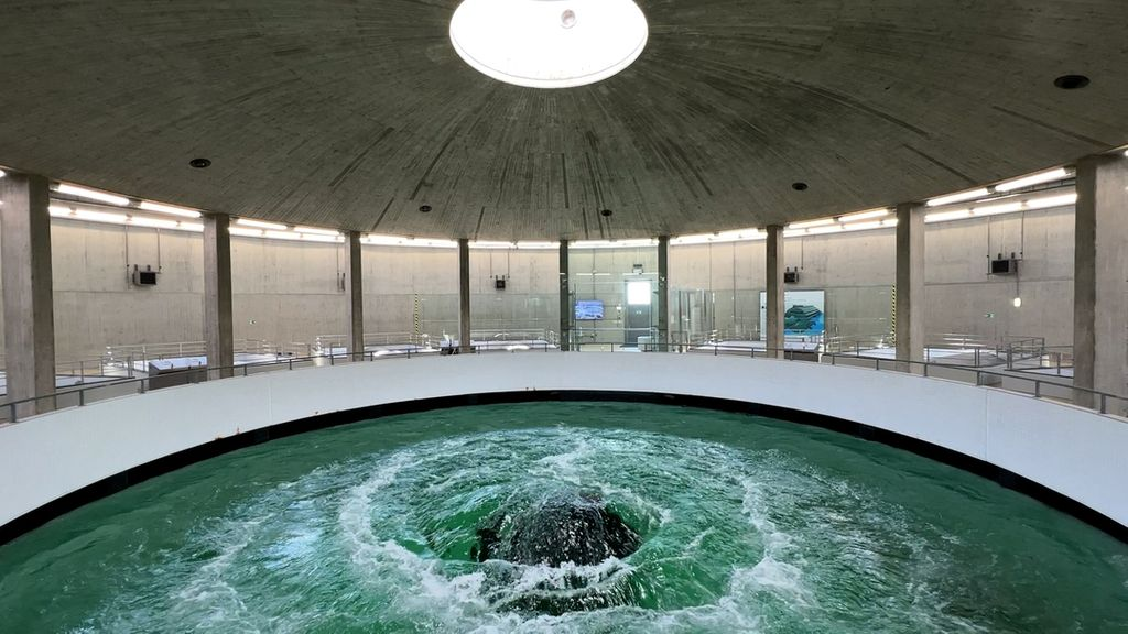 Bodenseewasser für Bayern, © BR / Markus Wessely