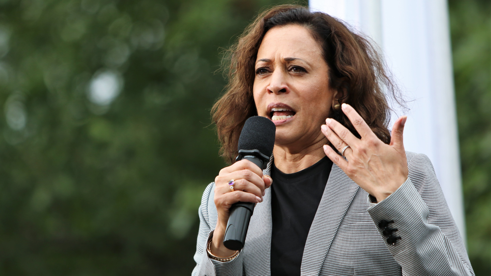 Kamala Harris'den ilk Açıklama: Kazanma Niyetindeyim, © shutterstock