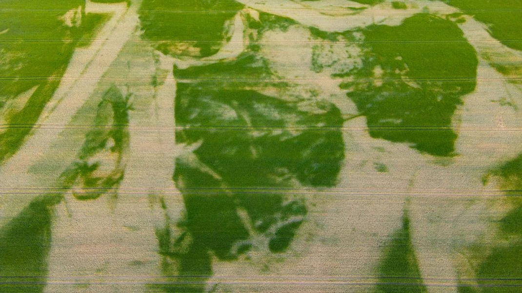 RLP´da 30 Bölgede Yeraltı Suyu Alarmı!, © Patrick Pleul/dpa RLP´da 30 Bölgede Yeraltı Suyu Alarmı!, © Patrick Pleul/dpa