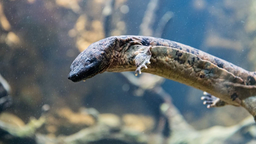 © Zoo Basel © Zoo Basel