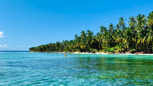 MorphoVan: Mit dem Camper den Traum durch Panama leben, © Falk Werner