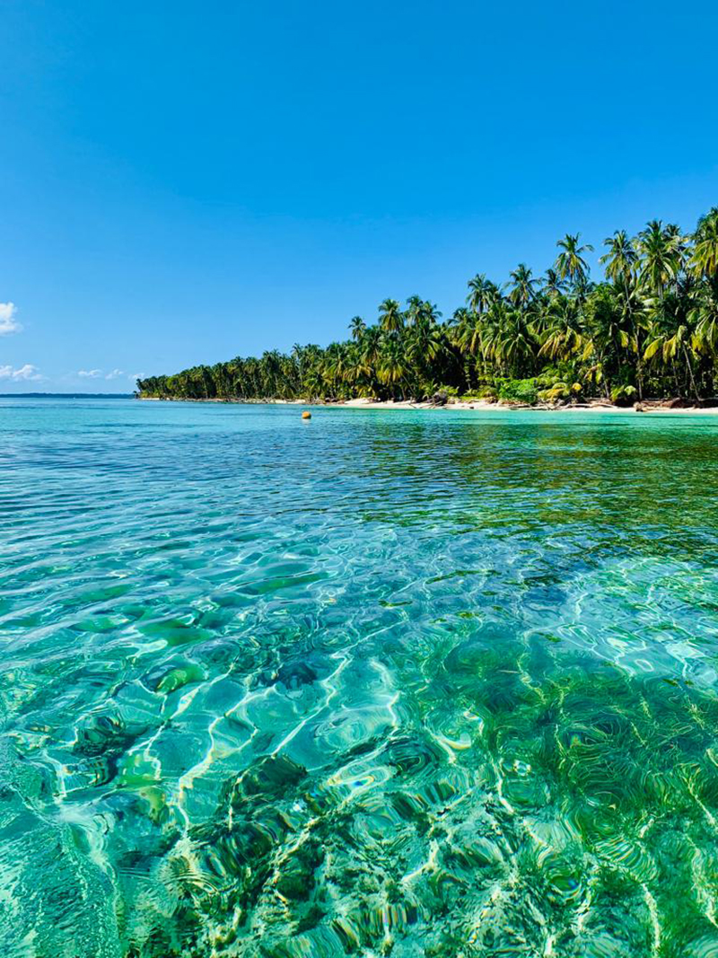 MorphoVan: Mit dem Camper den Traum durch Panama leben, © Falk Werner