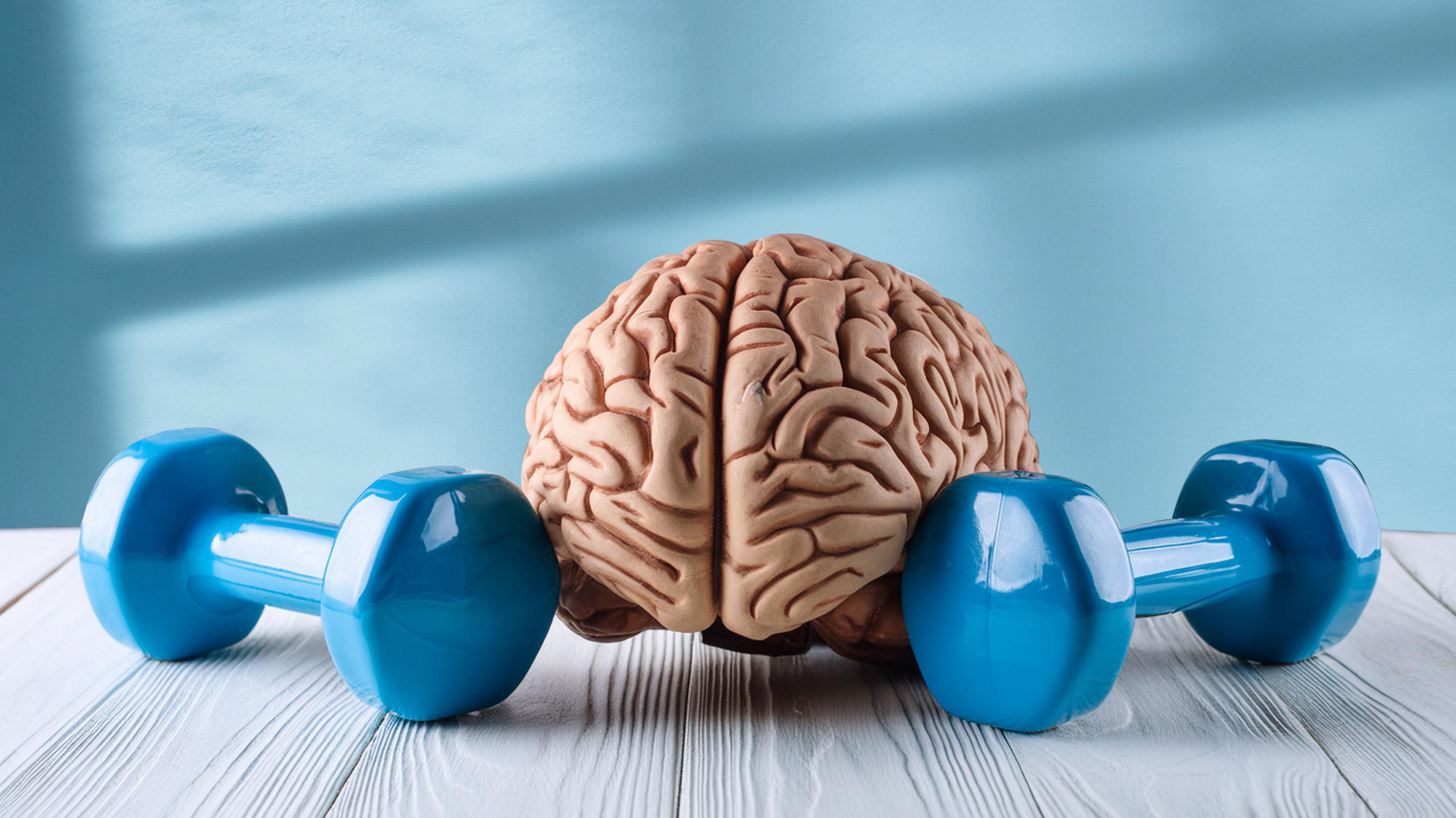 Yapılan İlginç Bir Araştırmaya Göre Zihin Gücümüzle Kas Yapmak Mümkün Olabilir!, © shutterstock