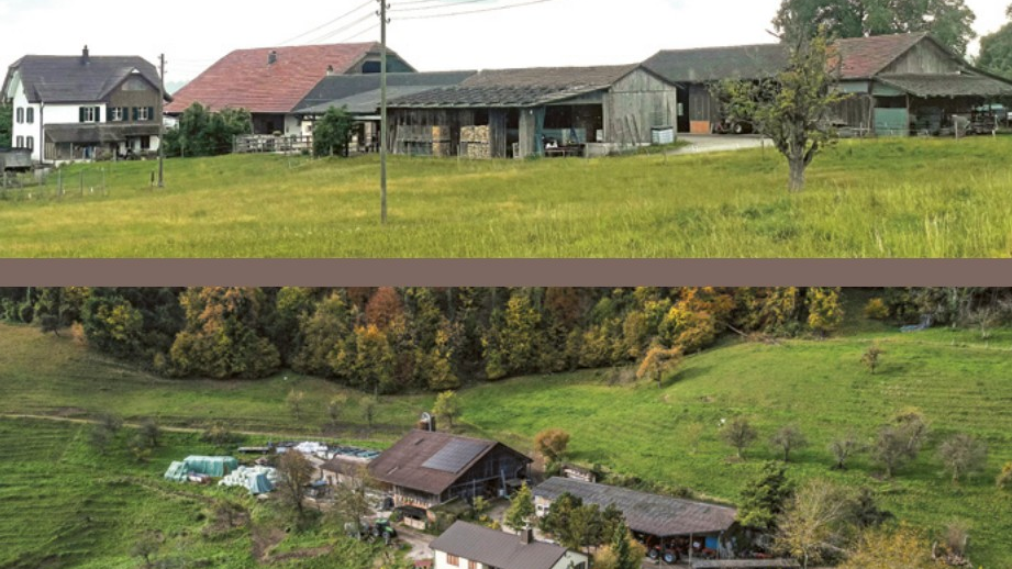 © www.steinamrhein.ch