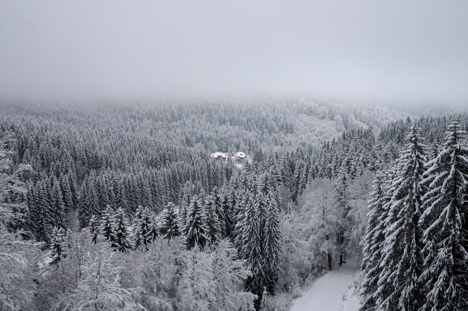 Blick auf den verschneiten Thüringer Wald.