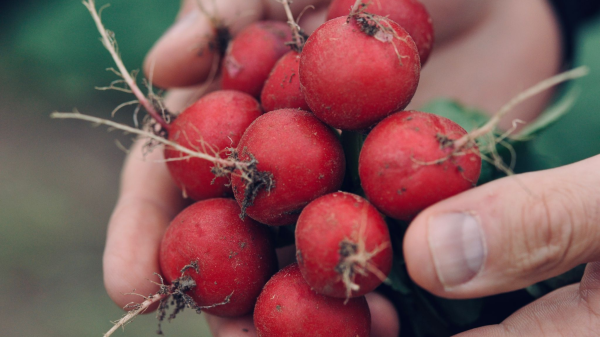 Genuss kann nachhaltig sein, © Alexandre Kaden