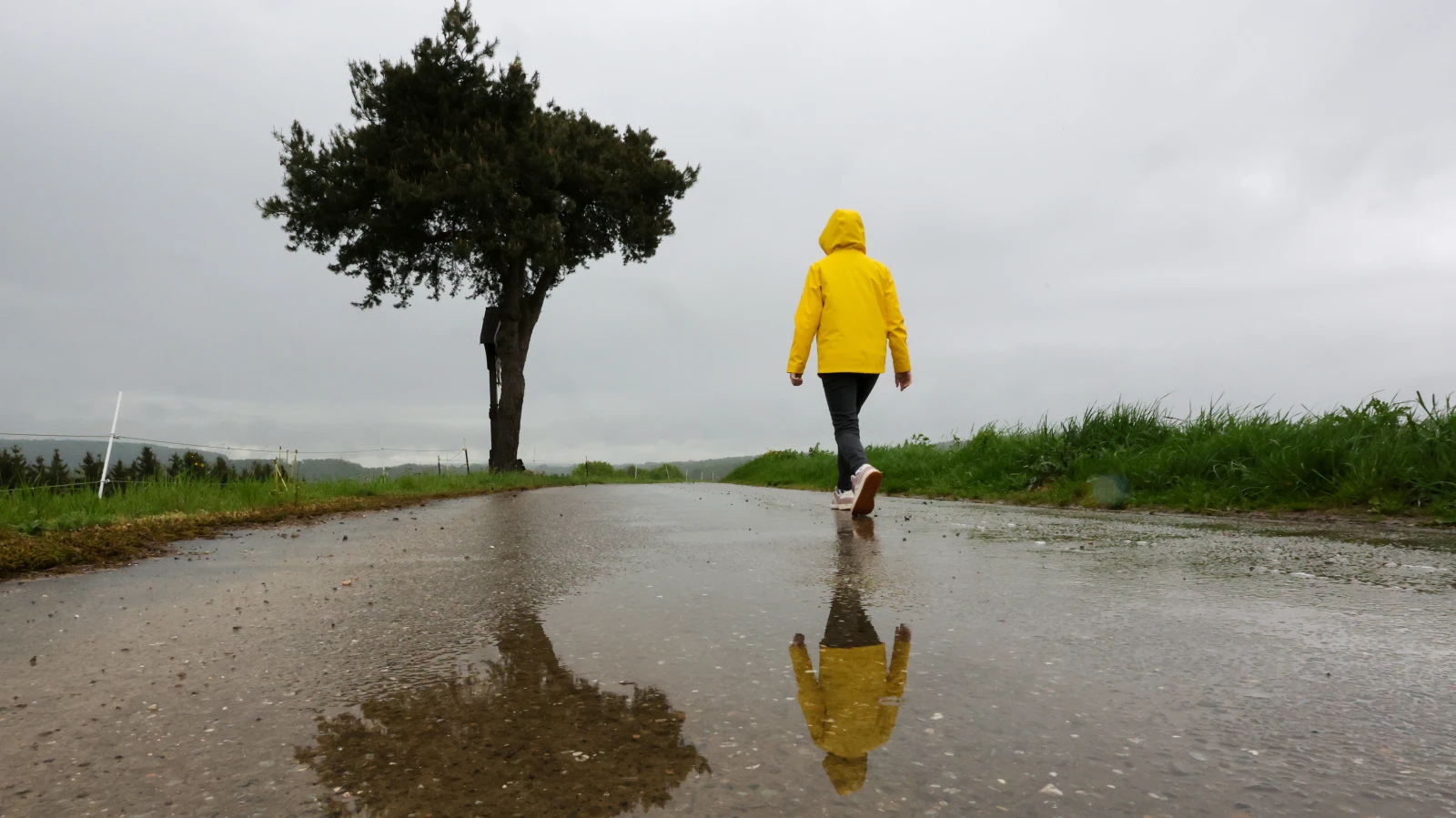 Hafta Sonu Baden-Württemberg'de Hava: Fırtına Uyarısı, Yağmur ve Az Güneş, © dpa Hafta Sonu Baden-Württemberg'de Hava: Fırtına Uyarısı, Yağmur ve Az Güneş, © dpa
