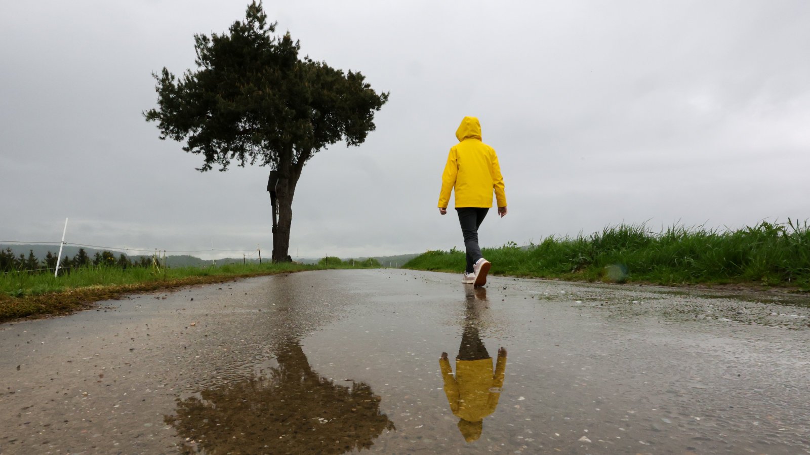 Hafta Sonu Baden-Württemberg'de Hava: Fırtına Uyarısı, Yağmur ve Az Güneş, © dpa