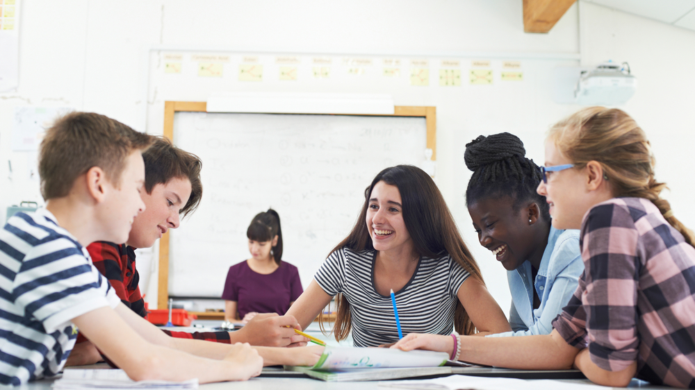 Schüler, © Shutterstock