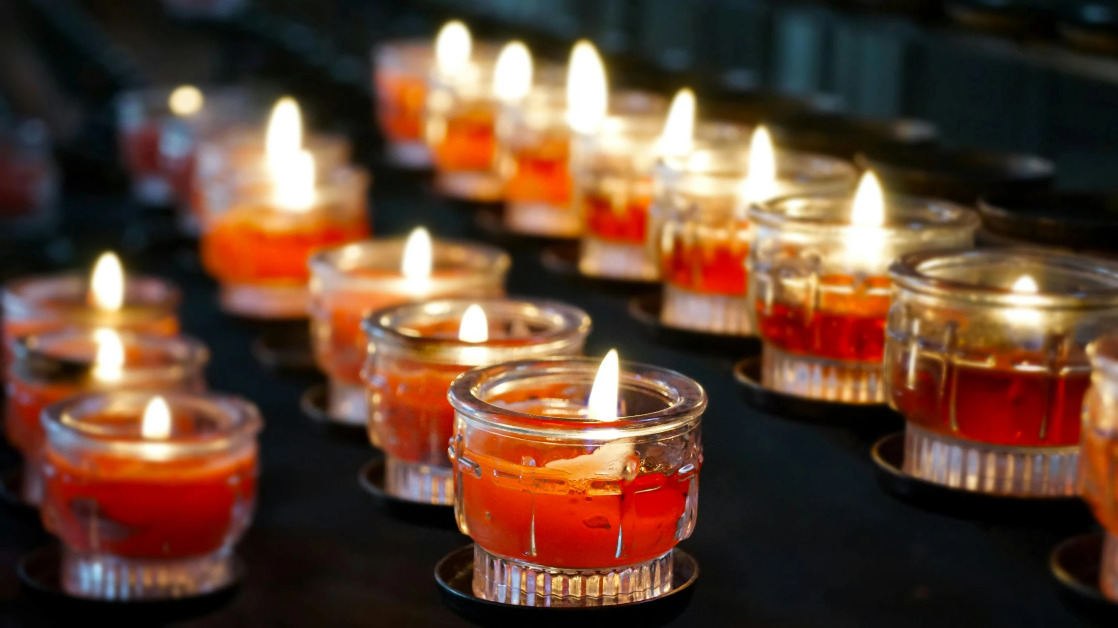 © Marta Branco © Marta Branco