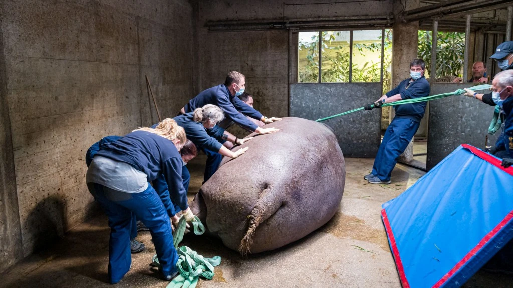 © Zoo Basel © Zoo Basel