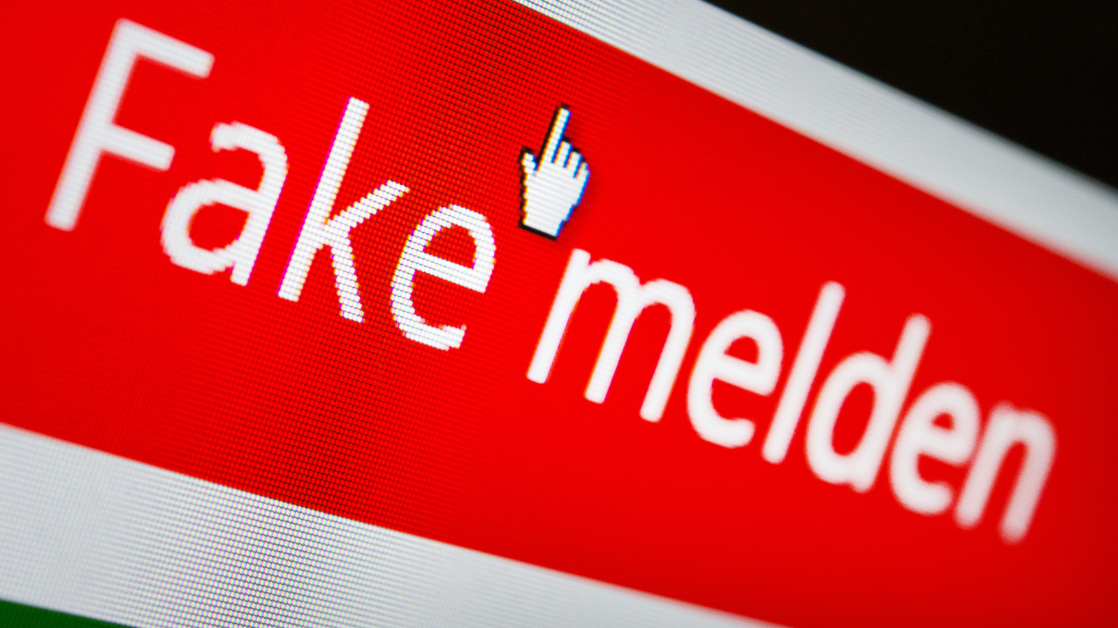 Seçim 2025: Sahte Haber ve Yönlendirme Uyarısı, ©  Franziska Gabbert/dpa-Zentralbild/dpa