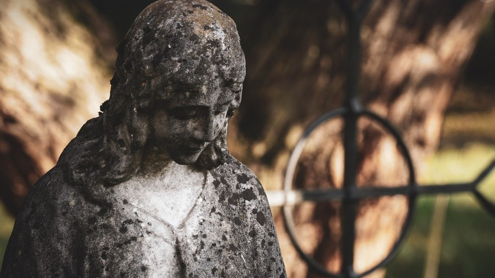 Leichen-Kompostierung könnte geprüft werden, © Pixabay