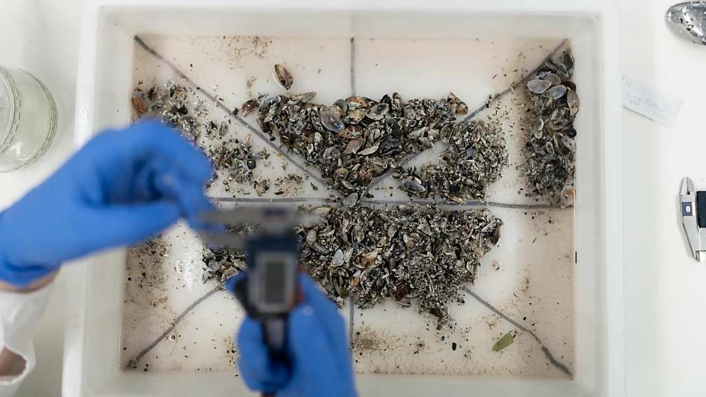 Einwasserungsverbot am Klöntalersee, © Keystone / SDA / Symbolbild Einwasserungsverbot am Klöntalersee, © Keystone / SDA / Symbolbild