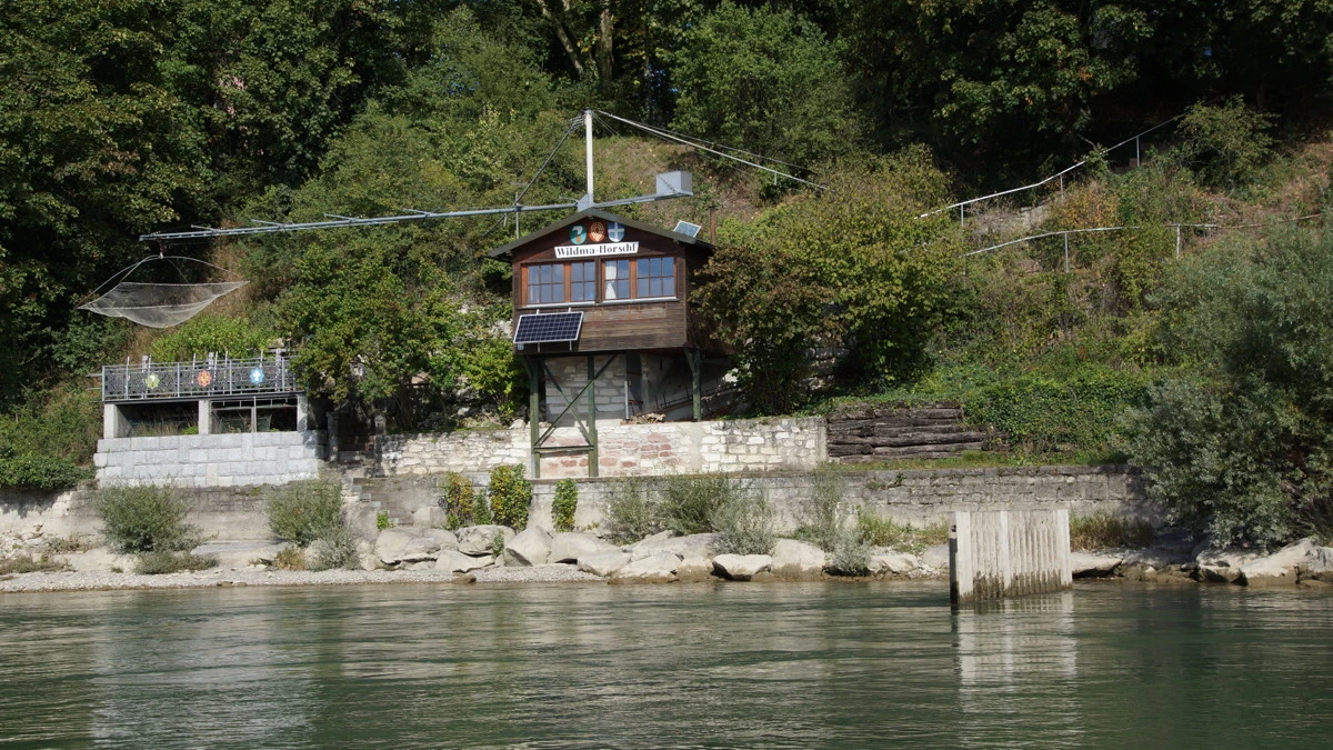 © basler-galgenfischer.ch © basler-galgenfischer.ch