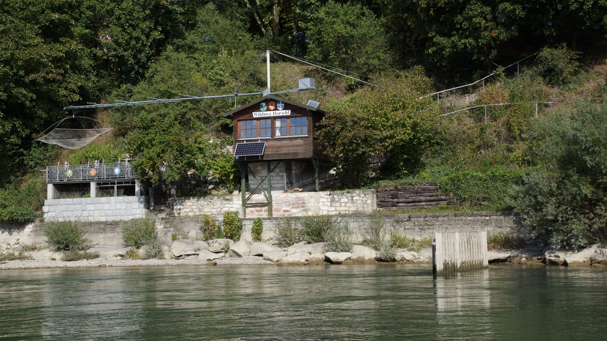 © basler-galgenfischer.ch