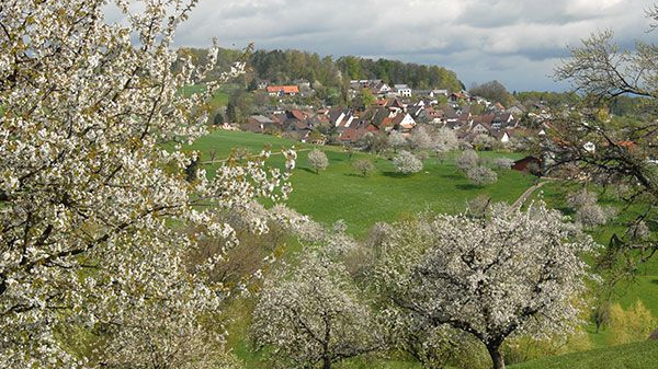 © region-wasserfallen.ch