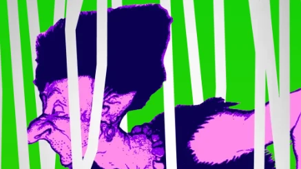 Into the Woods Into the Woods