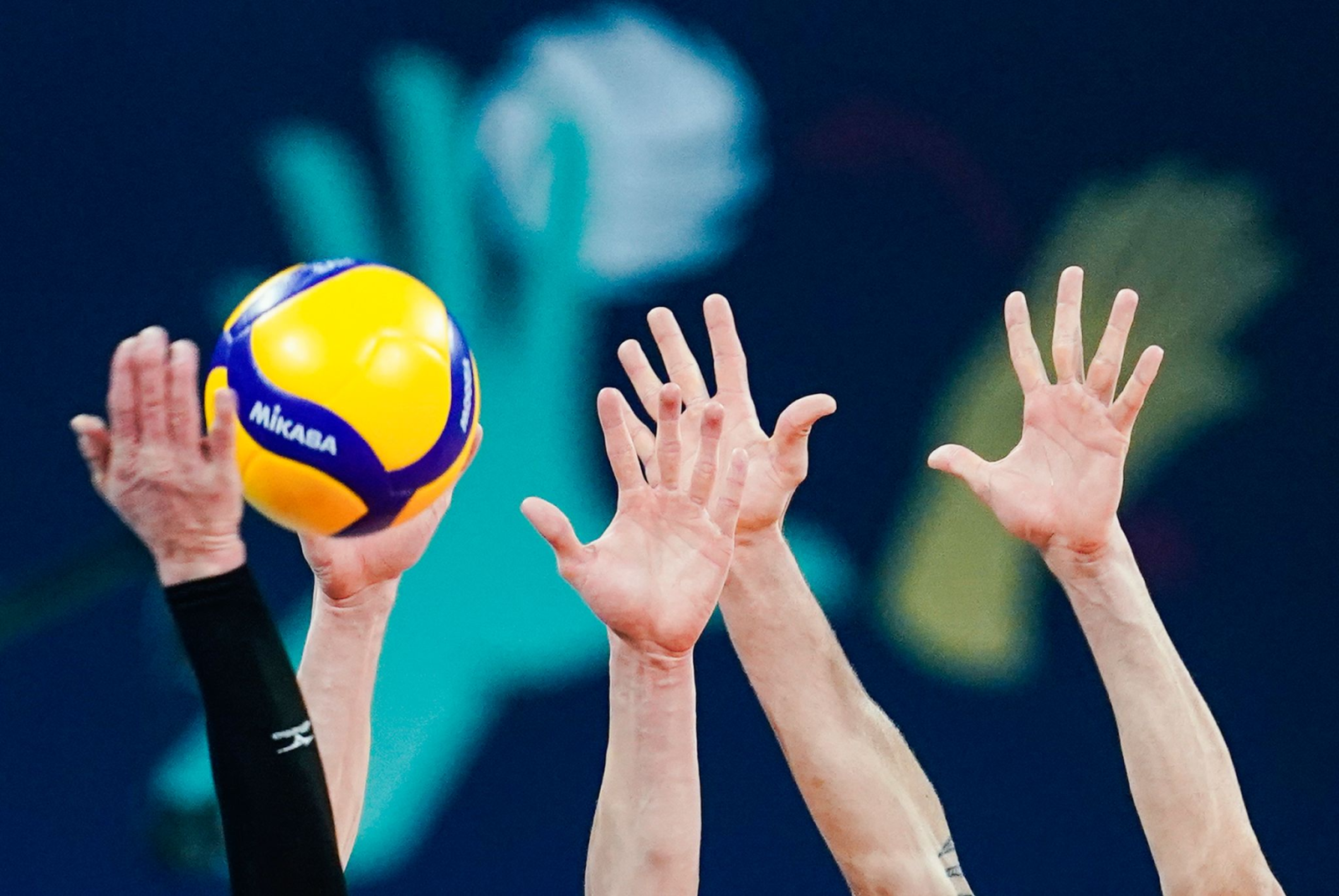 Die Volleyball-Frauen von Schwarz-Weiß Erfurt stellen einen Bundesliga-Lizenzantrag., © Uwe Anspach/dpa