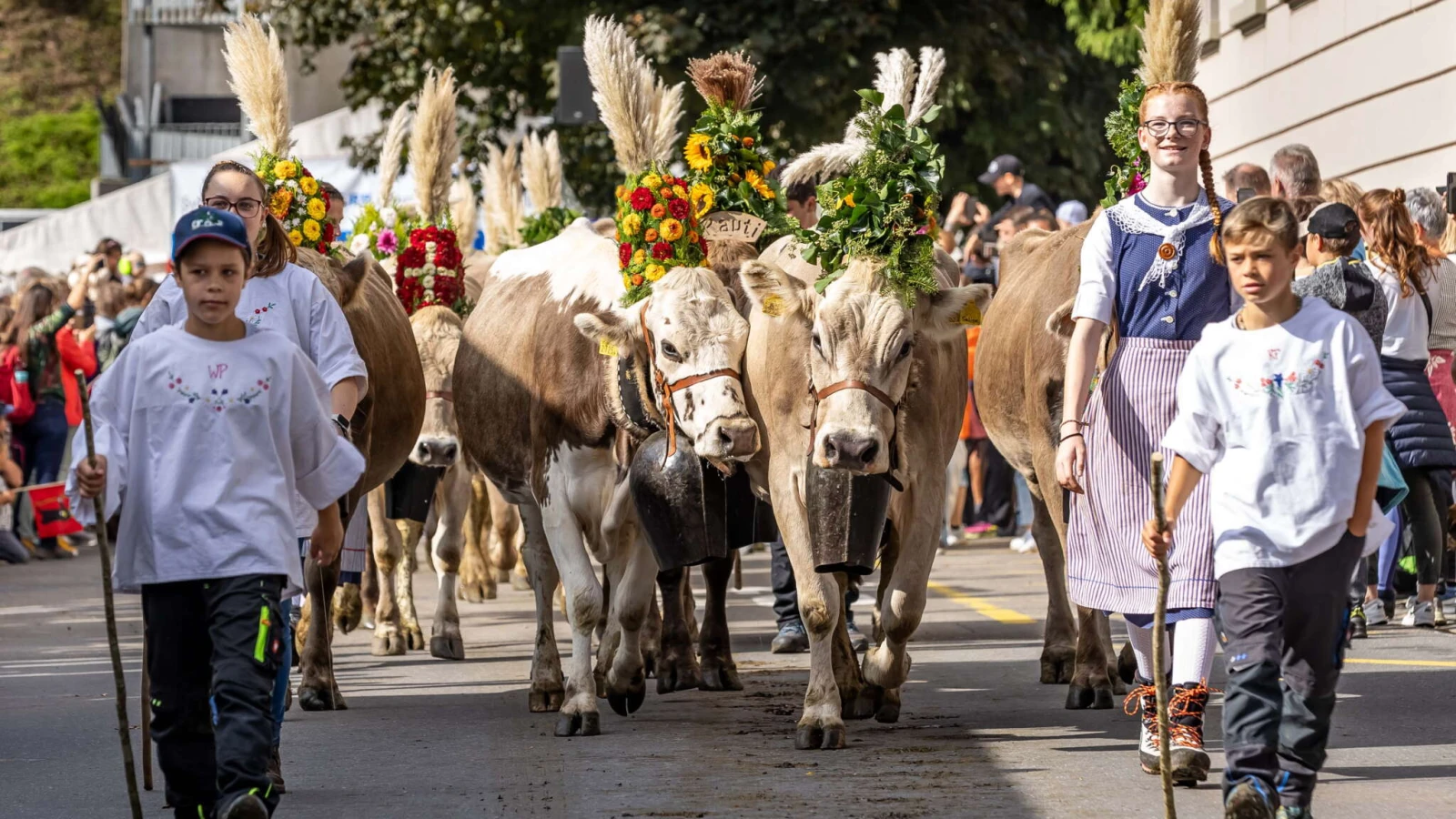Die Heimkehr der Kühe: die Alpabfahrt in der Schweiz, © glarnerland.ch Die Heimkehr der Kühe: die Alpabfahrt in der Schweiz, © glarnerland.ch