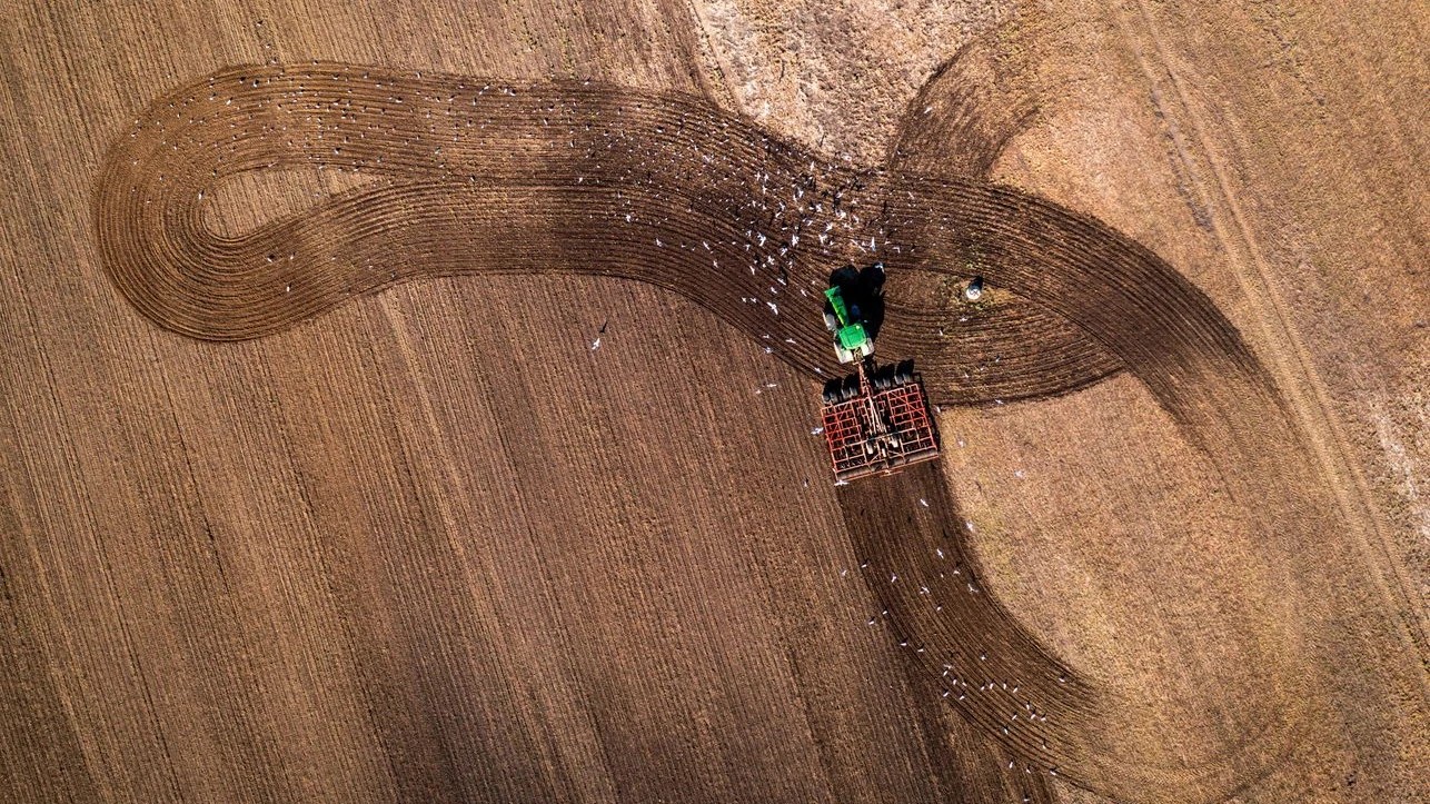 Avustralya Neden Almanya’da Arazi Satın Alıyor? Tepkiler Var!, © Jens Büttner/dpa Avustralya Neden Almanya’da Arazi Satın Alıyor? Tepkiler Var!, © Jens Büttner/dpa