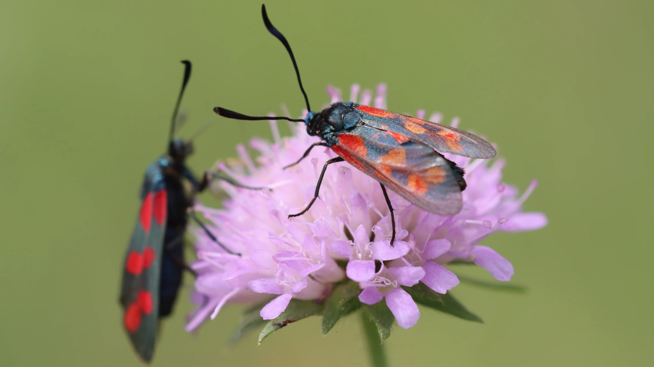 © Quelle: Pixabay © Quelle: Pixabay