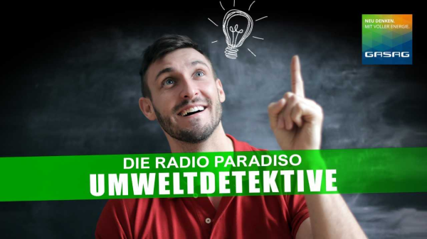 Radio Paradiso Umweltdetektive - Der Sanierungsfahrplan Teil 4